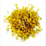 Organic German Chamomile