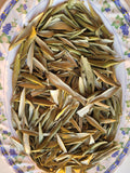 Feuilles d’olivier bio – Olea europaea-agromaya
