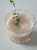 Recette Jus de poudre de Pulpe de Baobab-Agromaya