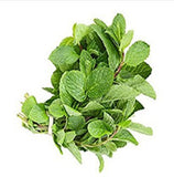 Menthe Douce 25g