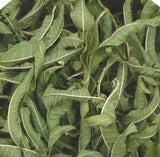 Verveine Citronnée